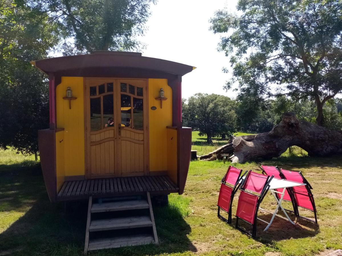 Hotel Camping La Bergerie La Chapelle-Achard Exterior foto